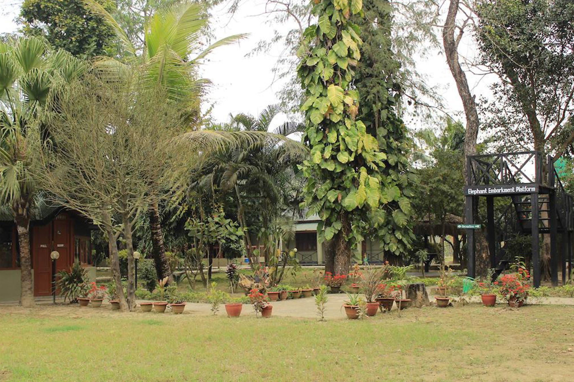 Unique Wild Resort Sauraha Kültér fotó