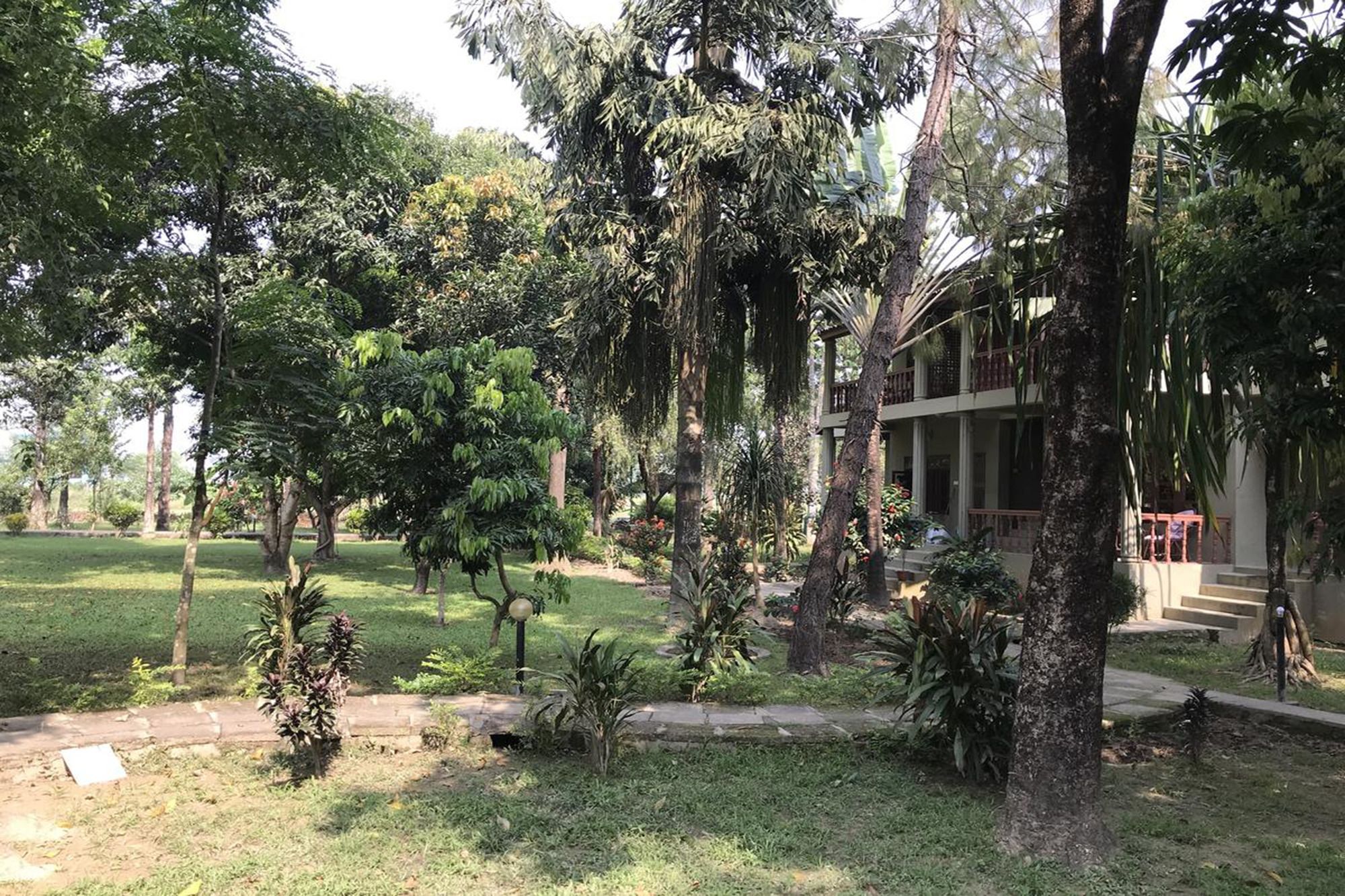 Unique Wild Resort Sauraha Kültér fotó